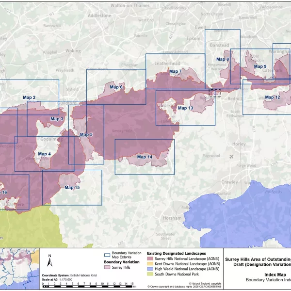 Surrey Hills Area of Outstanding Natural Beauty Designation Variation index map page 0001 1